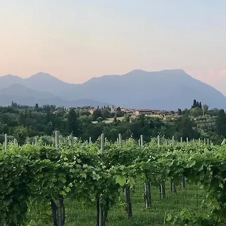 Lejlighed Casa Bella Polpenazze del Garda